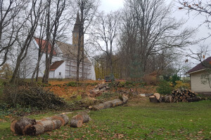 Pargipuu OÜ Haljastustööd, istutamine, hooldus, hoolduslõikus