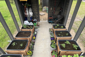 A.P EHITUS GRUPP OÜ Üldehitus