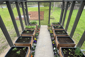 A.P EHITUS GRUPP OÜ Üldehitus