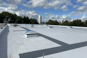 AH LAMEKATUSED OÜ Katusetööd