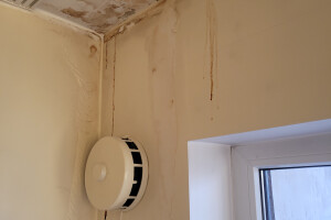 UP SERVICE OÜ Siseviimistlustööd