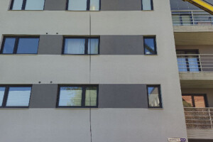 FASSAADI PESU OÜ Survepesu