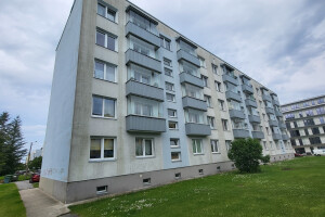 FASSAADI PESU OÜ Survepesu