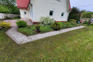 FASSAADI PESU OÜ Survepesu