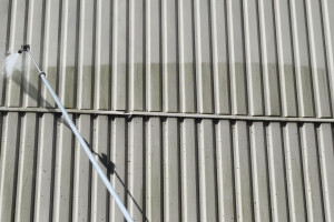 FASSAADI PESU OÜ Survepesu