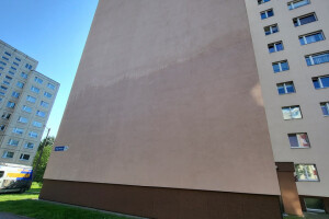 FASSAADI PESU OÜ Survepesu