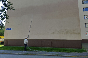 FASSAADI PESU OÜ Survepesu