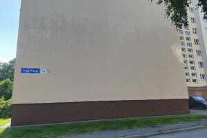 FASSAADI PESU OÜ Survepesu