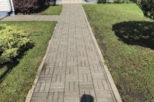 FASSAADI PESU OÜ Survepesu