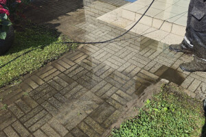 FASSAADI PESU OÜ Survepesu