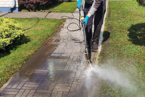 FASSAADI PESU OÜ Survepesu