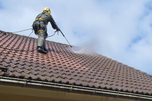 FASSAADI PESU OÜ Survepesu