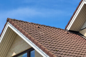 FASSAADI PESU OÜ Survepesu