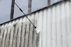 FASSAADI PESU OÜ Survepesu