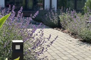 ELKOM ELEKTRO OÜ Välisvalgustus