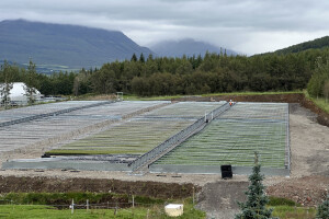 GREVATECH OÜ Metallitööd, keevitustööd, metalli keevitus, alumiiniumi keevitustööd