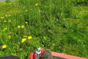 3K TEENUSED OÜ Haljastustööd