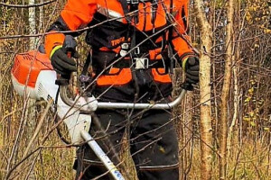 ERAMETSAKAVA OÜ Haljastustööd