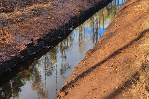 ERAMETSAKAVA OÜ Haljastustööd