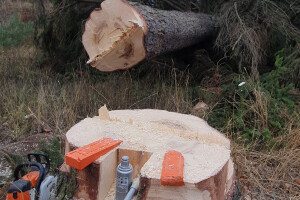 ERAMETSAKAVA OÜ Haljastustööd