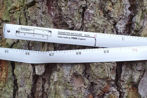 ERAMETSAKAVA OÜ Haljastustööd