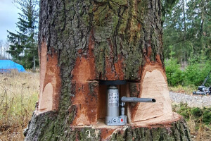 ERAMETSAKAVA OÜ Haljastustööd