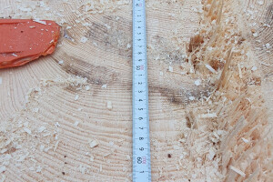 ERAMETSAKAVA OÜ Haljastustööd