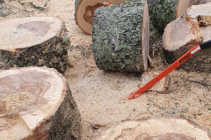 ERAMETSAKAVA OÜ Haljastustööd