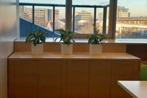 SMARTLYCLEAN OÜ Puhastusteenused