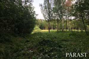 MURUMEHED OÜ Haljastustööd