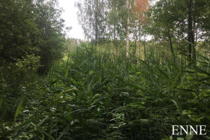 MURUMEHED OÜ Haljastustööd