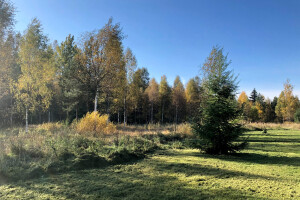 MURUMEHED OÜ Haljastustööd