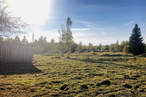 MURUMEHED OÜ Haljastustööd