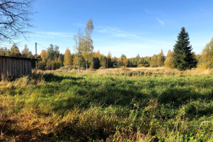 MURUMEHED OÜ Haljastustööd