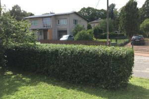 MURUMEHED OÜ Haljastustööd