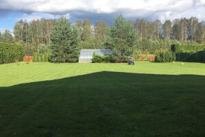 MURUMEHED OÜ Kinnisvara hooldamine