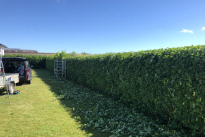 MURUMEHED OÜ Kinnisvara hooldamine