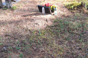 Hansal OÜ Puhastusteenused