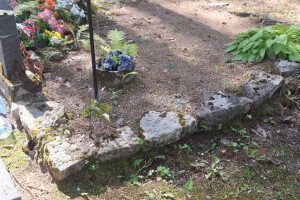 Hansal OÜ Puhastusteenused