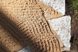 Hansal OÜ Puhastusteenused