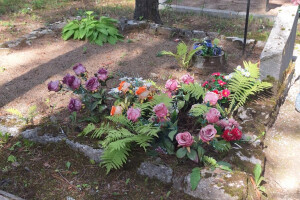 Hansal OÜ Puhastusteenused