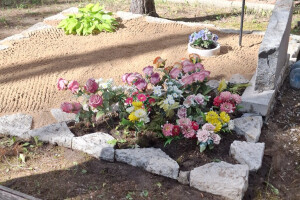 Hansal OÜ Puhastusteenused