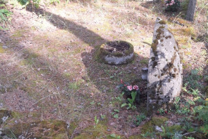 Hansal OÜ Puhastusteenused