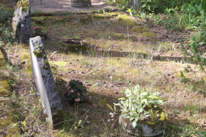 Hansal OÜ Puhastusteenused