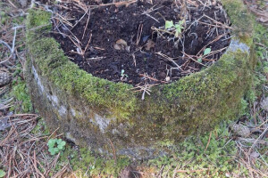 Hansal OÜ Puhastusteenused