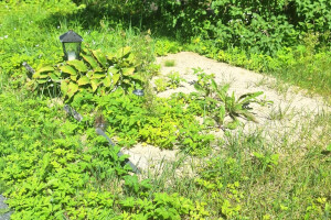 Hansal OÜ Puhastusteenused