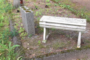 Hansal OÜ Puhastusteenused