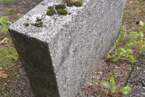 Hansal OÜ Puhastusteenused