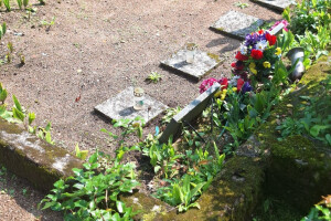 Hansal OÜ Puhastusteenused