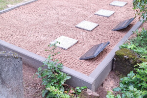 Hansal OÜ Puhastusteenused